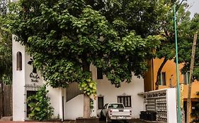 Ceiba Studios